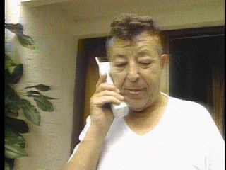 chat le plessis robinson