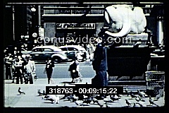 preview clip thumb