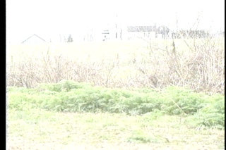 preview clip thumb